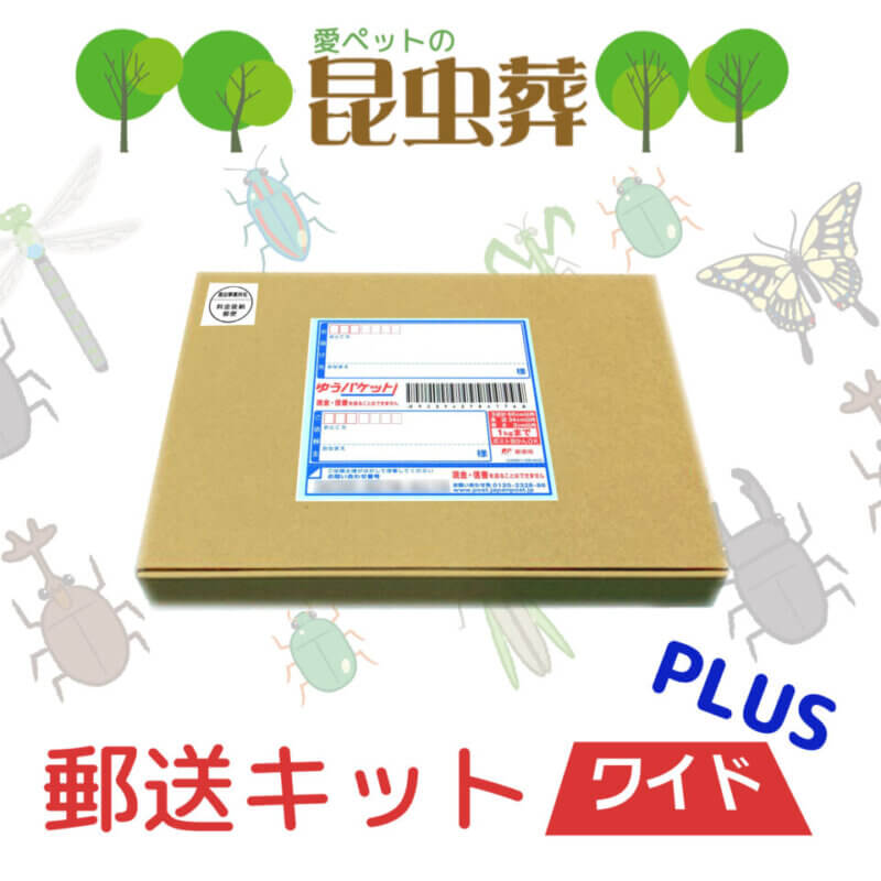 複数の昆虫の供養「昆虫葬郵送キットワイド」の提供開始の画像