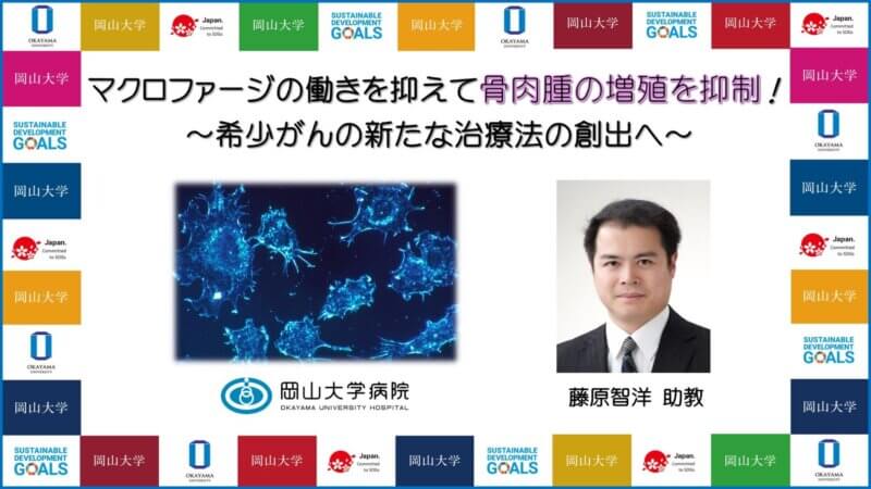 【岡山大学】マクロファージの働きを抑えて骨肉腫の増殖を抑制！～希少がんの新たな治療法の創出へ～の画像