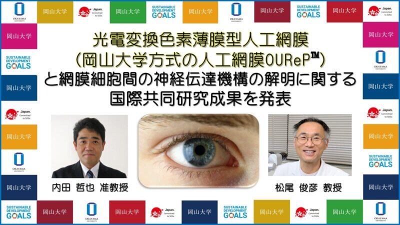 【岡山大学】光電変換色素薄膜型人工網膜（岡山大学方式の人工網膜 OUReP™）と網膜細胞間の神経伝達機構の解明に関する国際共同研究成果を発表の画像