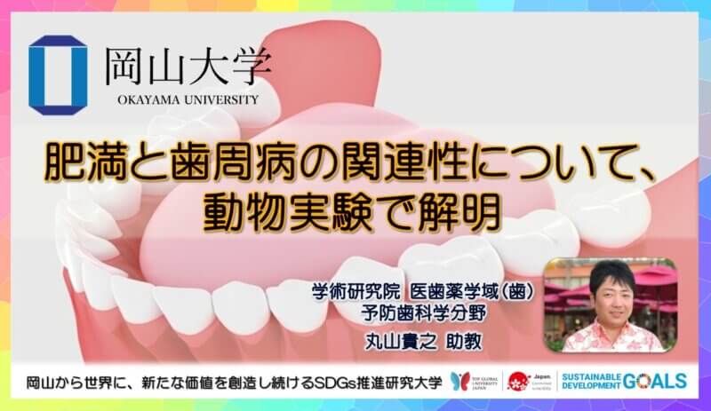 【岡山大学】肥満と歯周病の関連性について、動物実験で解明の画像