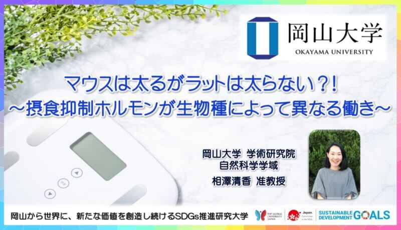 【岡山大学】マウスは太るがラットは太らない？! ～摂食抑制ホルモンが生物種によって異なる働き～の画像