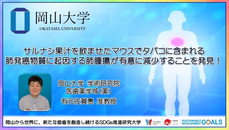 【岡山大学】サルナシ果汁を飲ませたマウスでタバコに含まれる肺発癌物質に起因する肺腫瘍が有意に減少することを発見！の画像